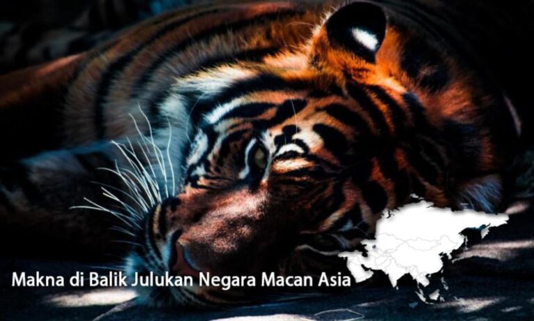 Makna di Balik Julukan Negara Macan Asia